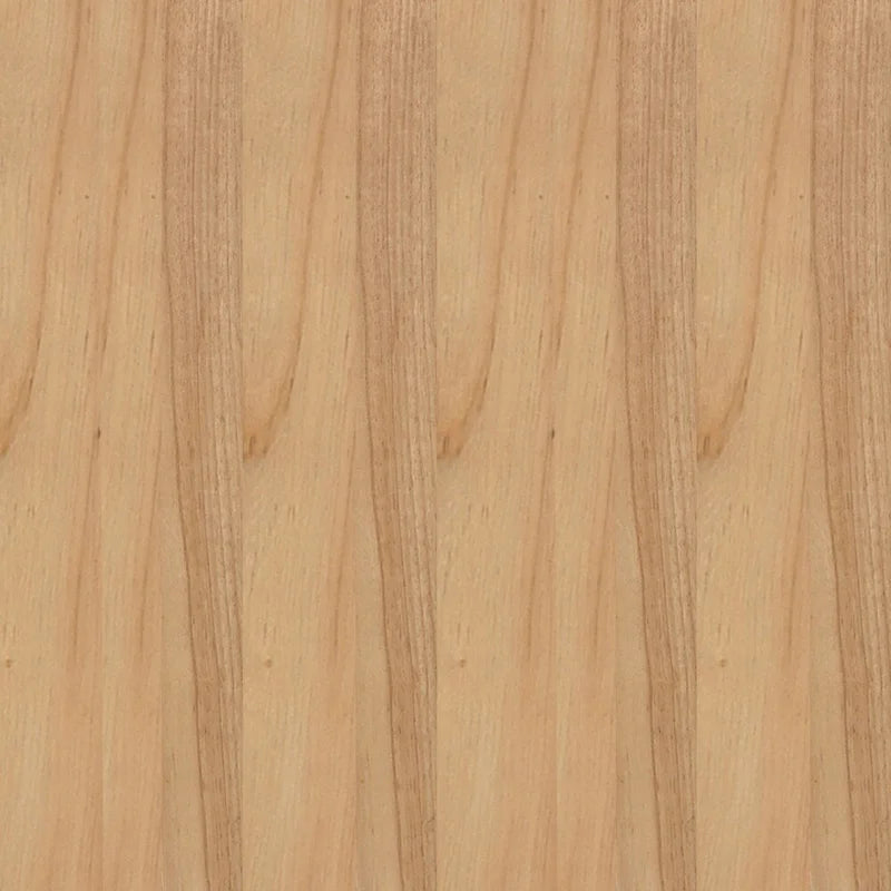 Rattan Dining Chair with Upholstered Seat - Natural/Black